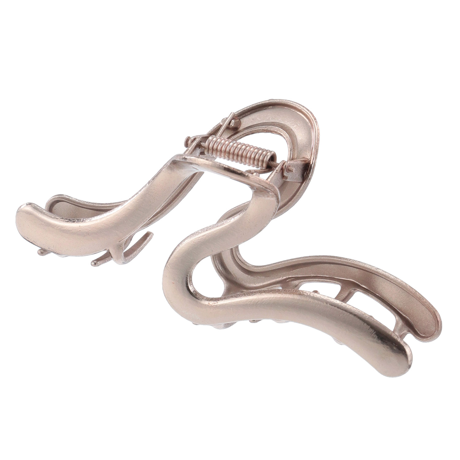 ブラウンバンスクリップ