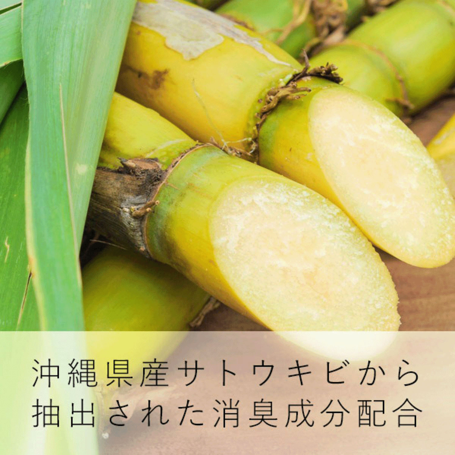 GRASSE TOKYO ファブリックミスト オーキッドパール - 画像6