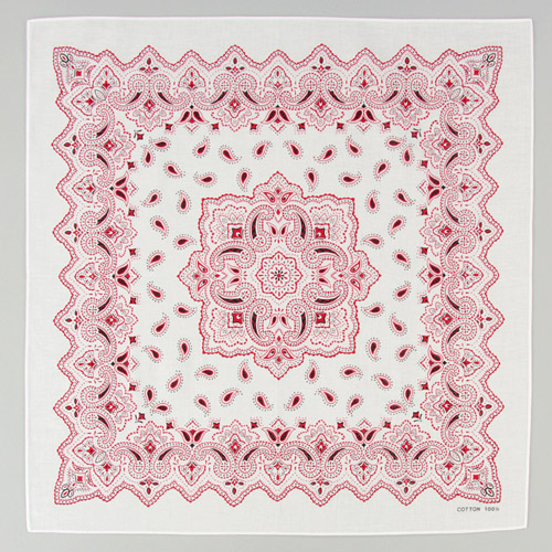 バンダナペイズリー - 画像2