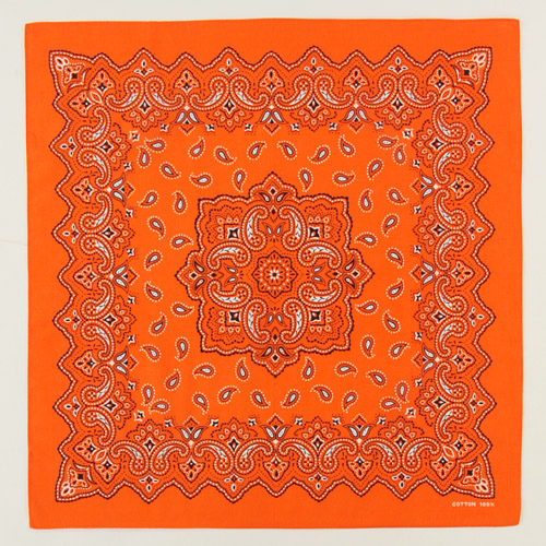 バンダナペイズリー - 画像6