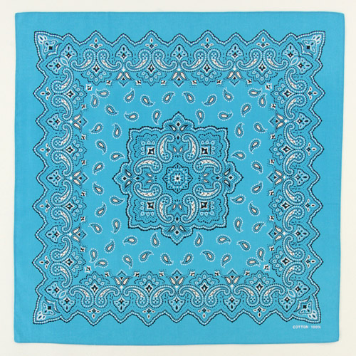 バンダナペイズリー - 画像9