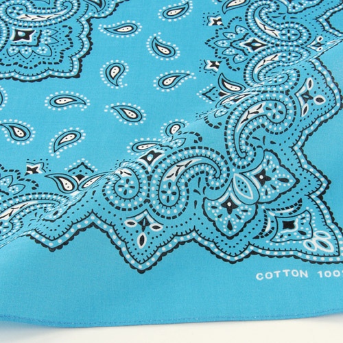 バンダナペイズリー - 画像10