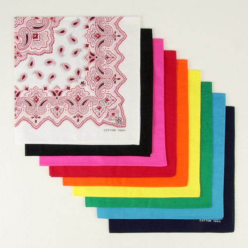 バンダナペイズリー - 画像1