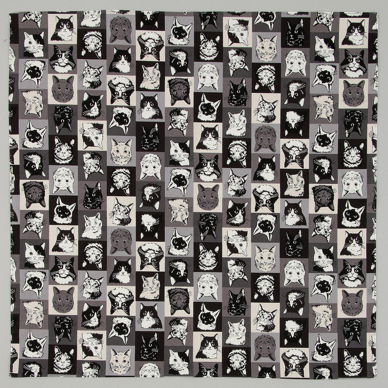 【在庫限り】にゃんにゃんハンカチ - 画像2