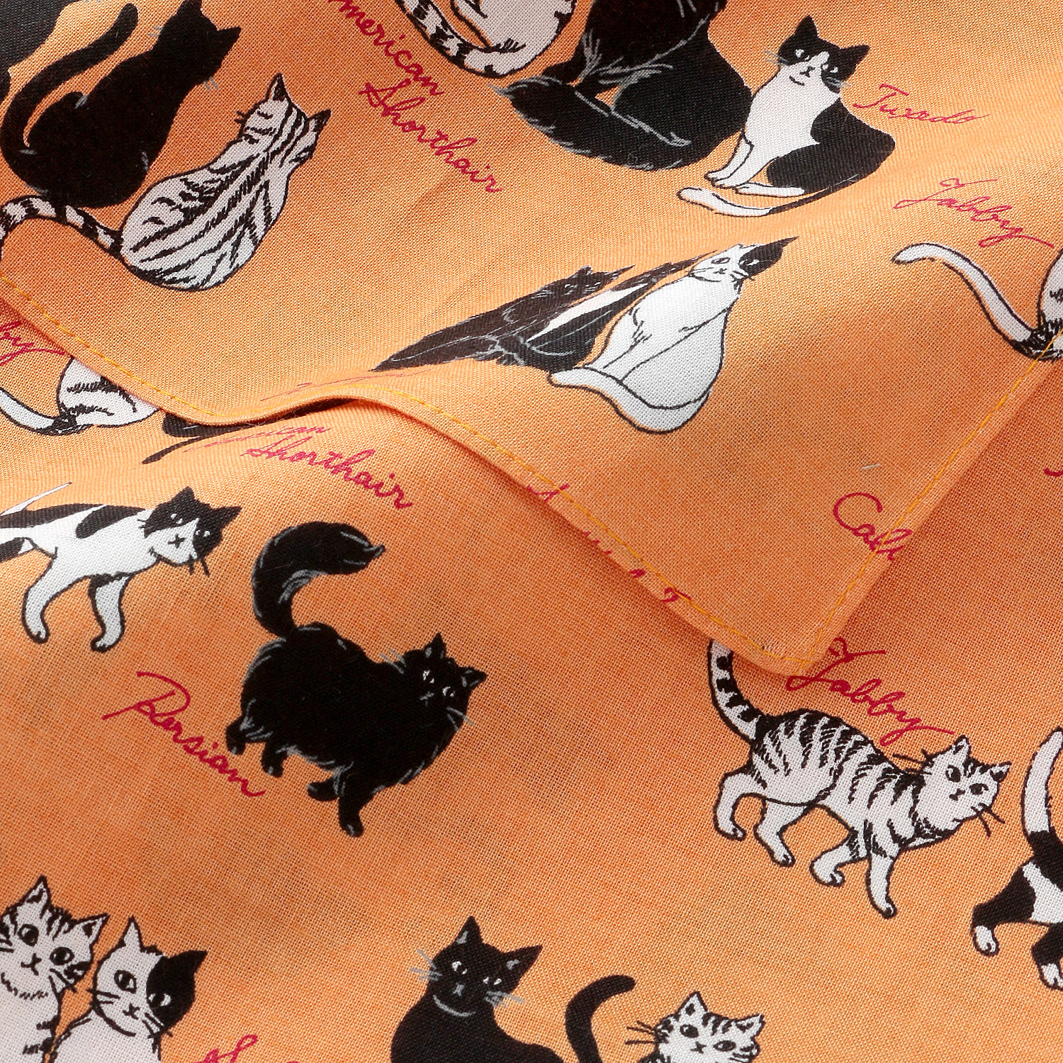 にゃんにゃんハンカチ （ギフトパッケージ入り） - 画像4