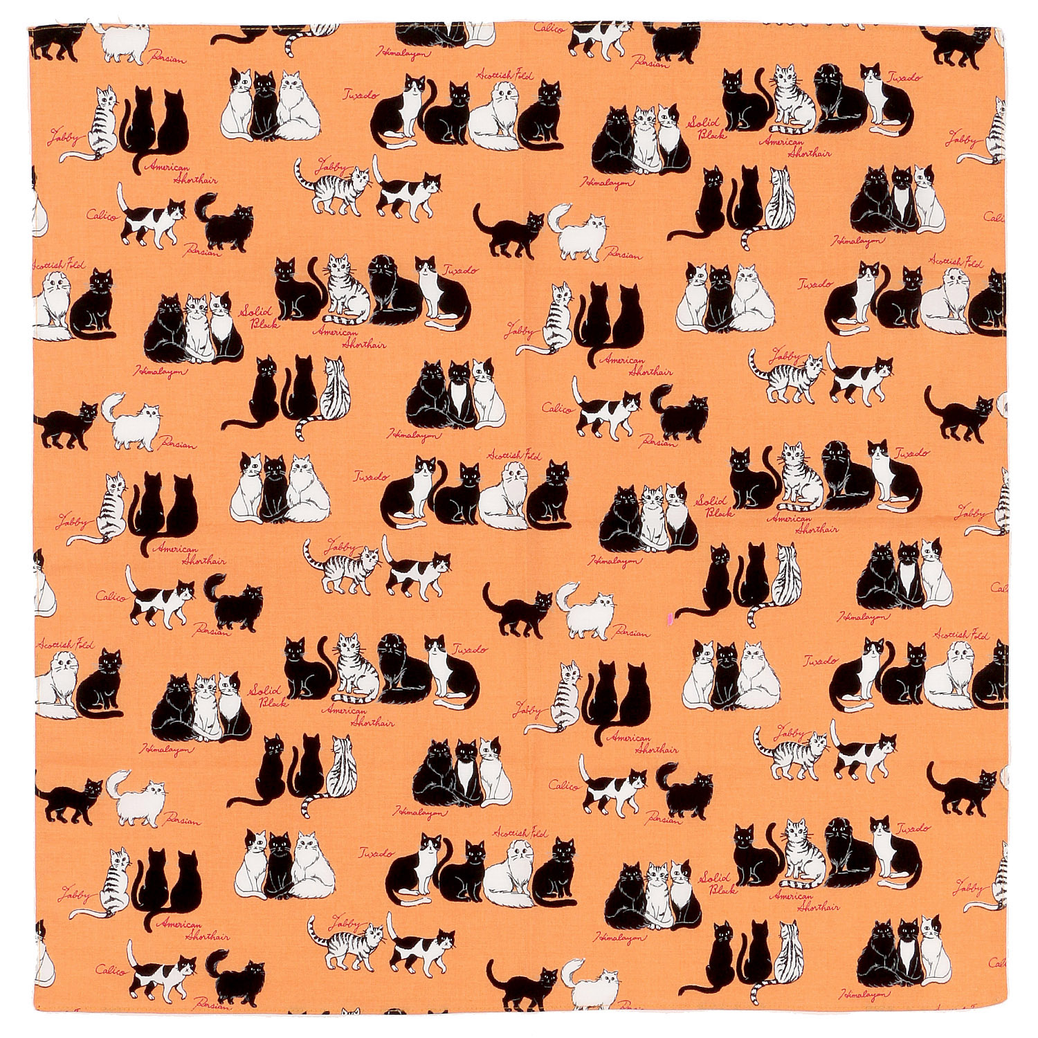 にゃんにゃんハンカチ - 画像2