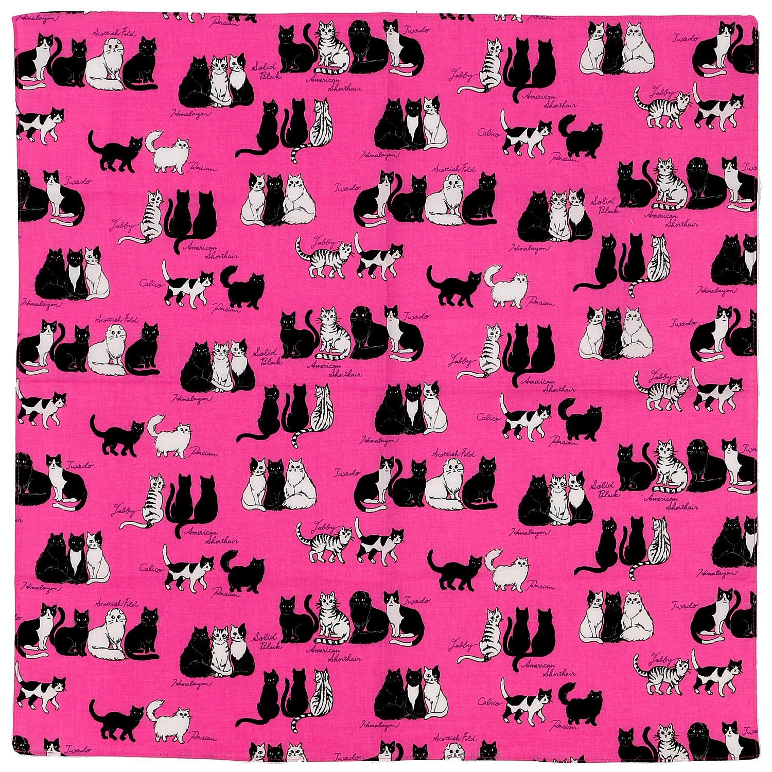 にゃんにゃんハンカチ - 画像1