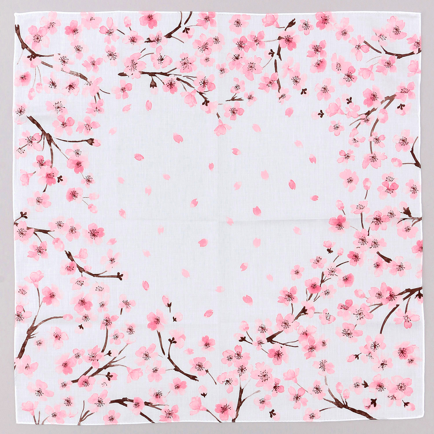 京彩 SAKURA あけぼの - 画像2