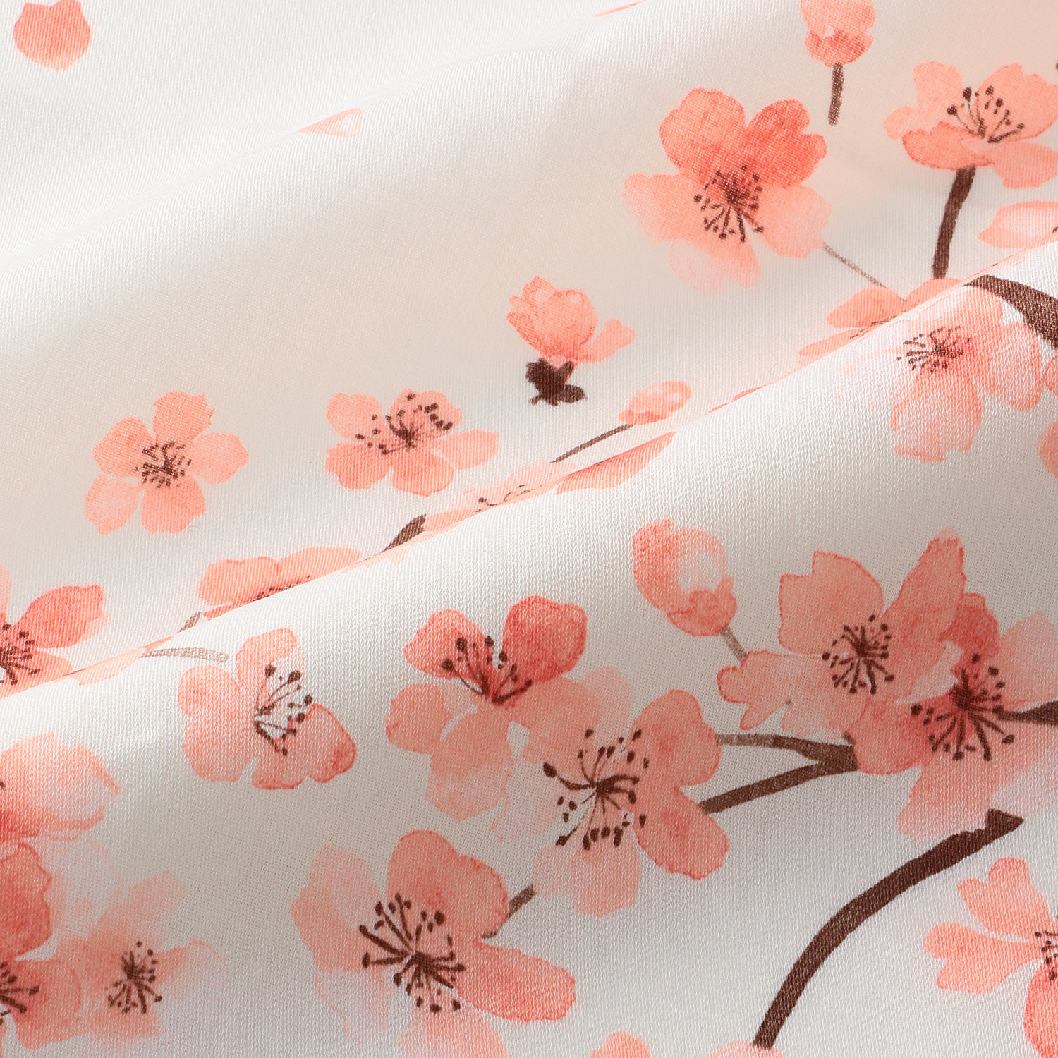 京彩 SAKURA あけぼの - 画像5