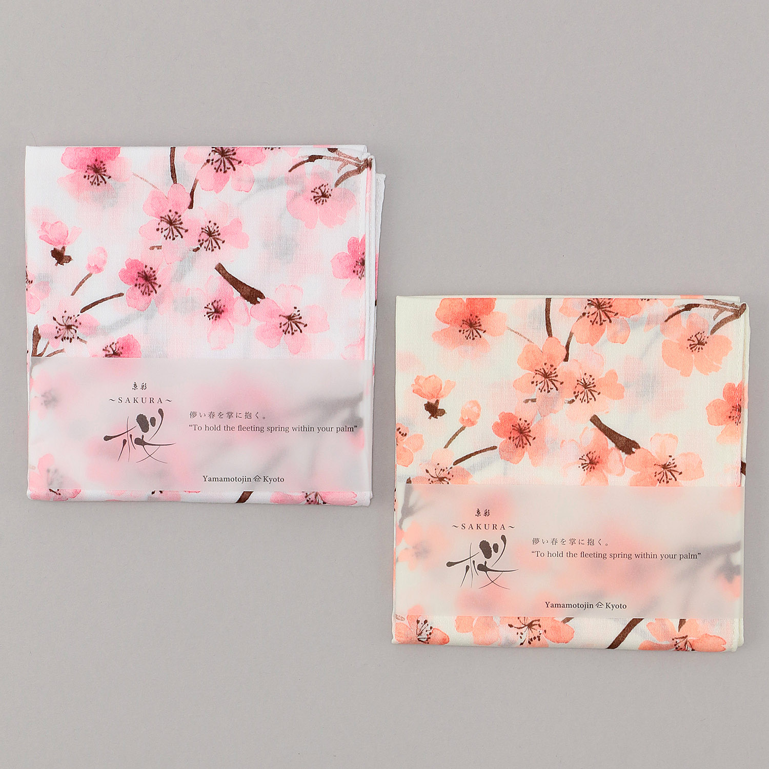 京彩 SAKURA あけぼの