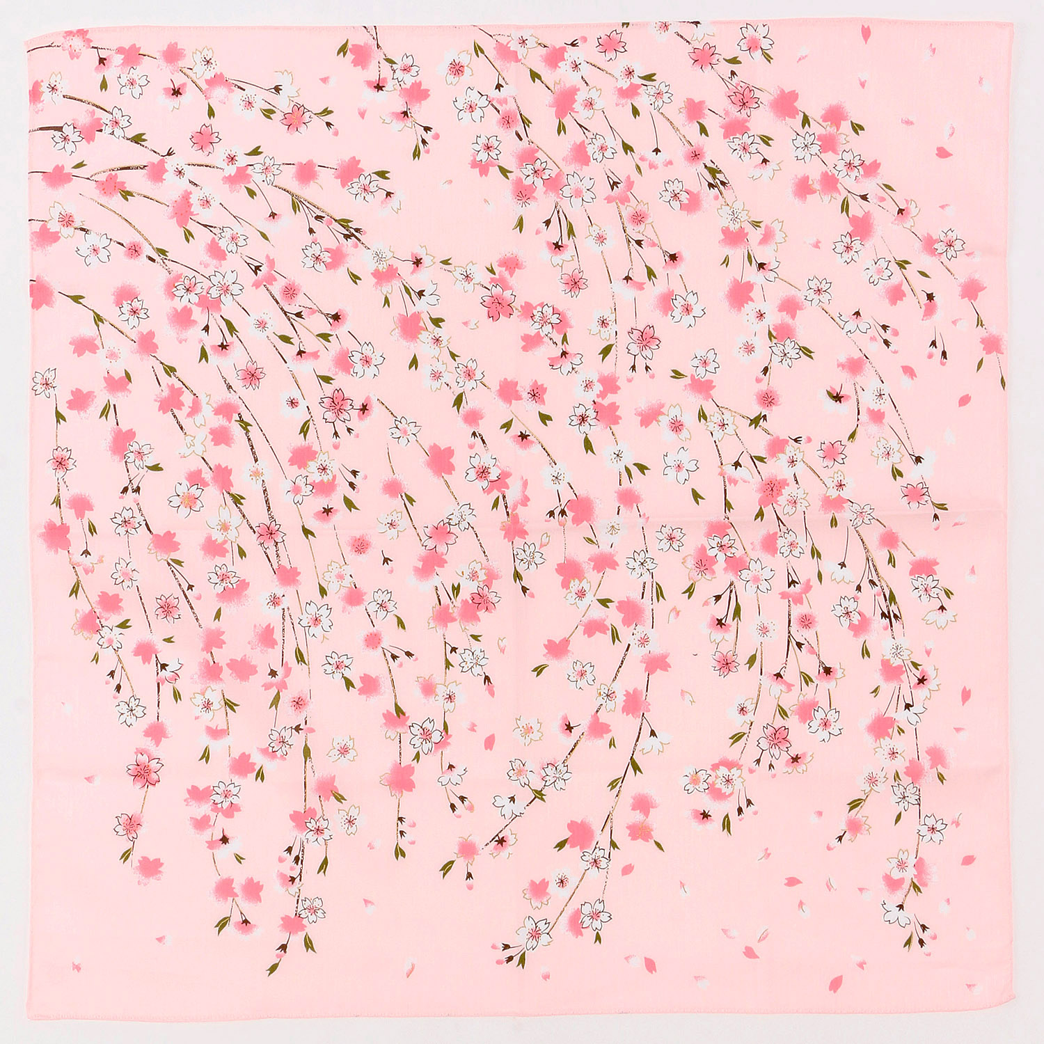 京彩 SAKURA 桜守り - 画像2