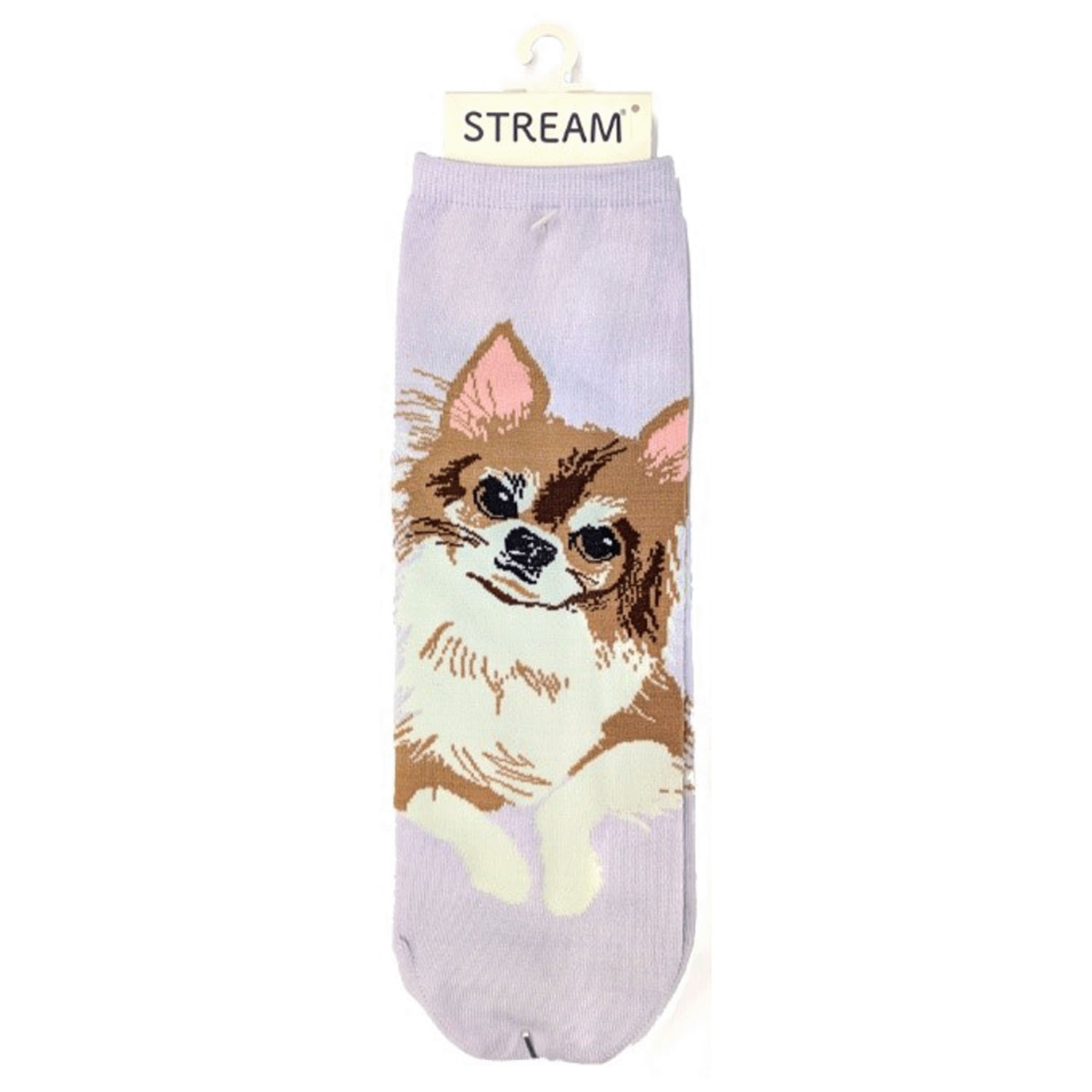 STREAM  DOG＆CAT SOCKS ロークルー - 画像11
