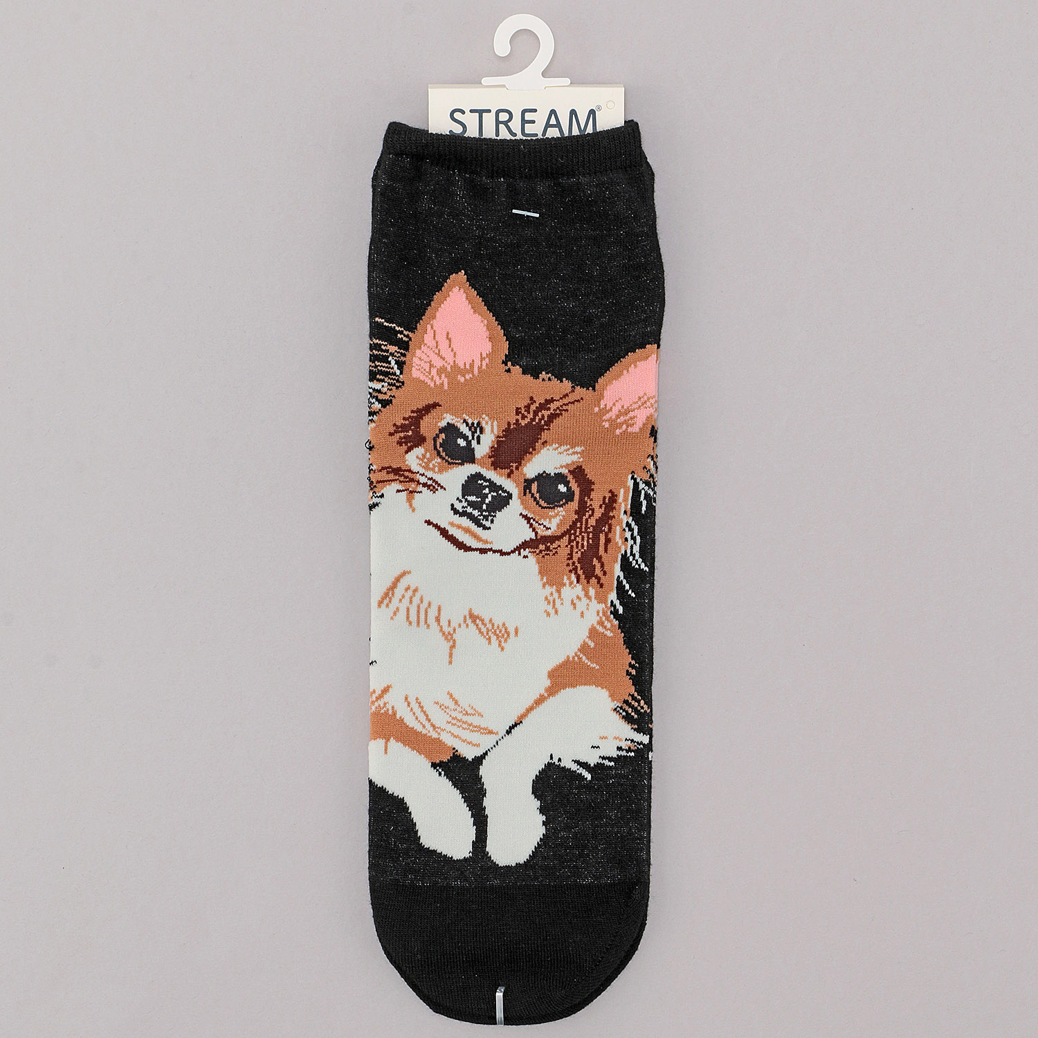 STREAM  DOG＆CAT SOCKS ロークルー - 画像19