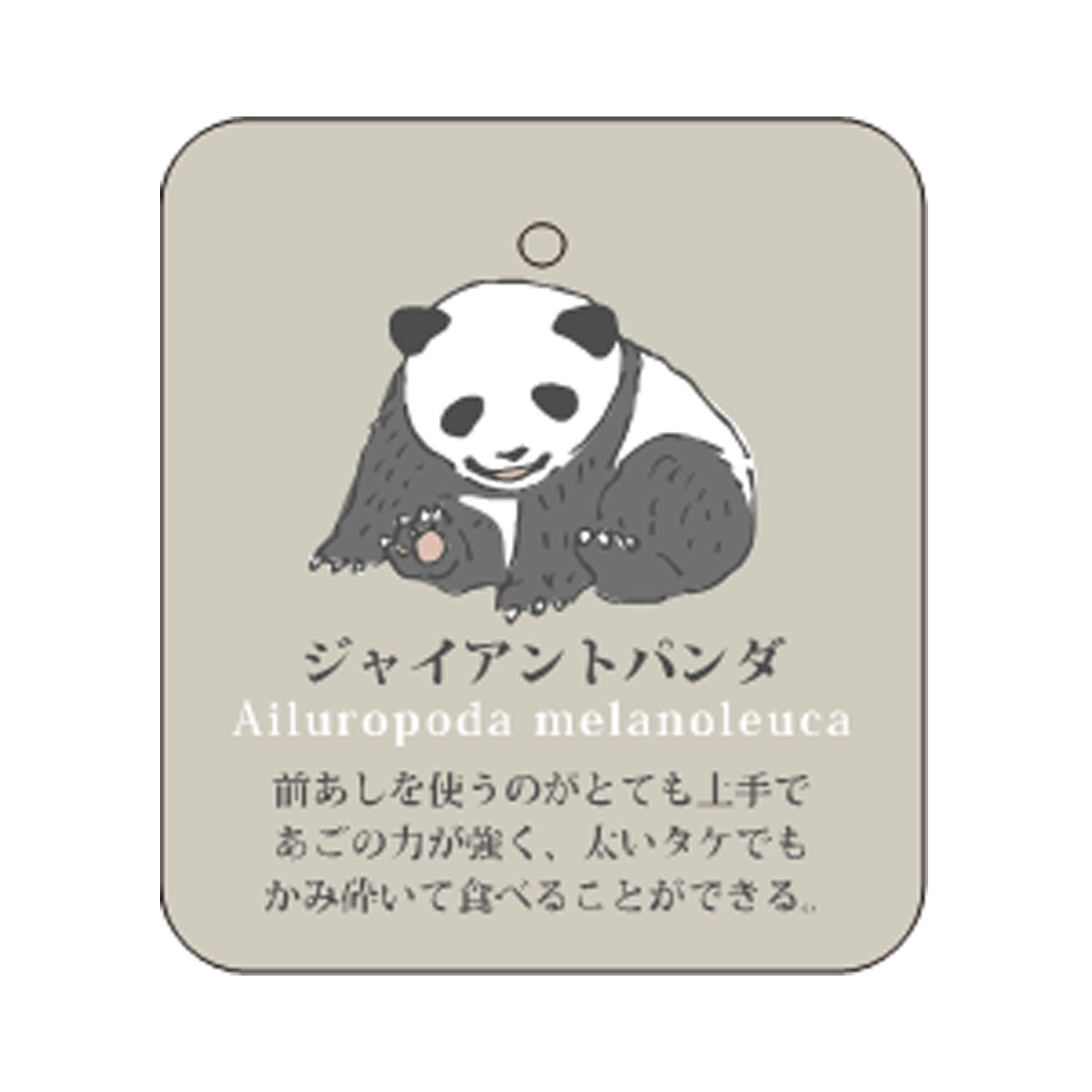 STREAM LIFE WITH YOU クルー丈 動物 刺繍 靴下 - 画像11