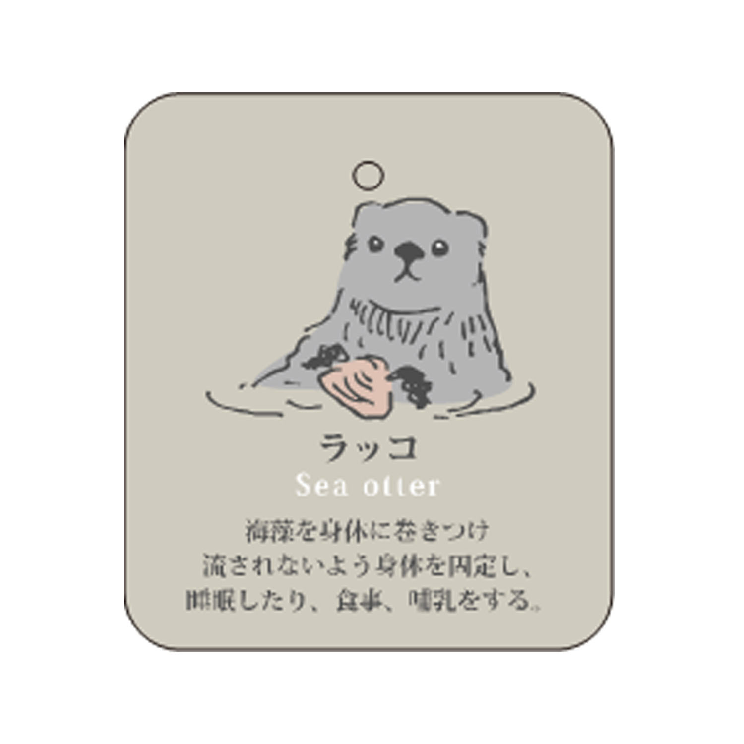 STREAM LIFE WITH YOU クルー丈 動物 刺繍 靴下 - 画像17