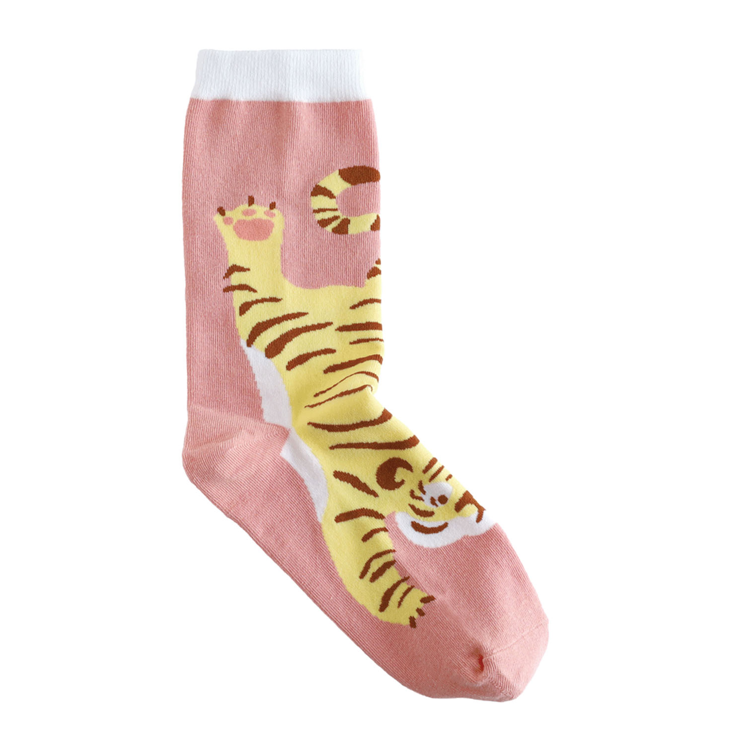 新作／garapago socks  （ガラパゴ ソックス） - 画像10