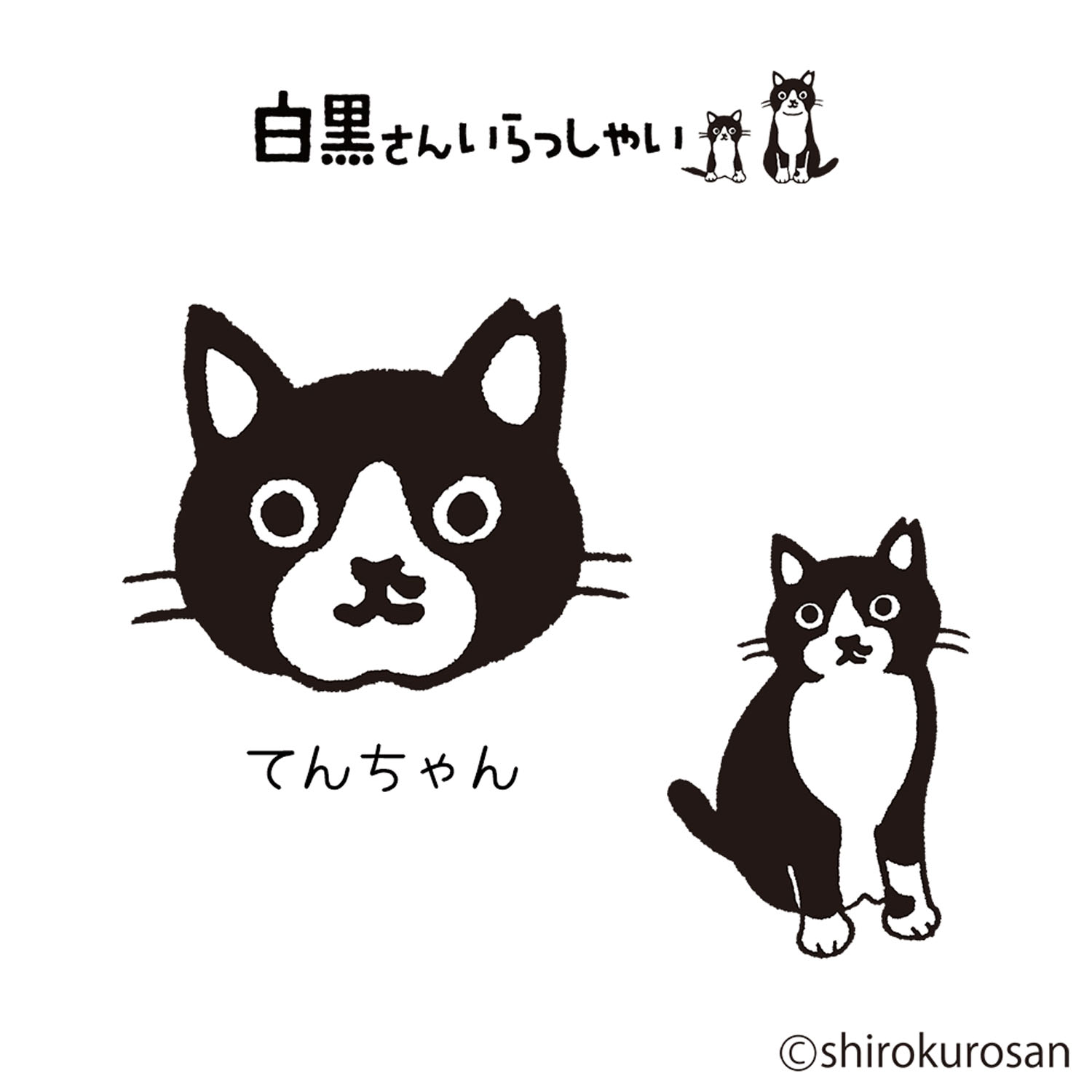 Miita 【白黒さんいらっしゃい×Miita】白黒ソックス - 画像7