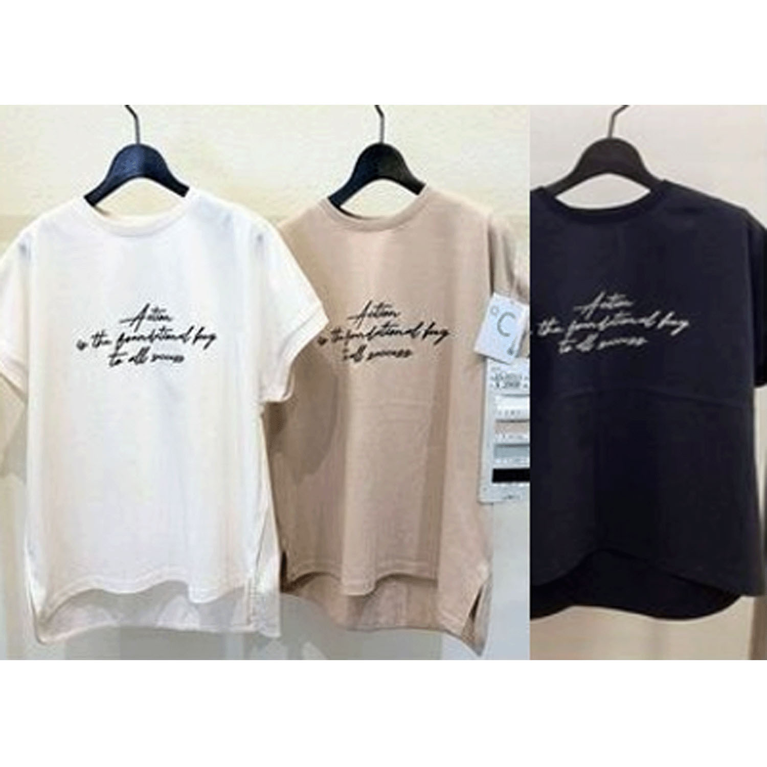 ザンパロゴ刺しゅうTシャツ