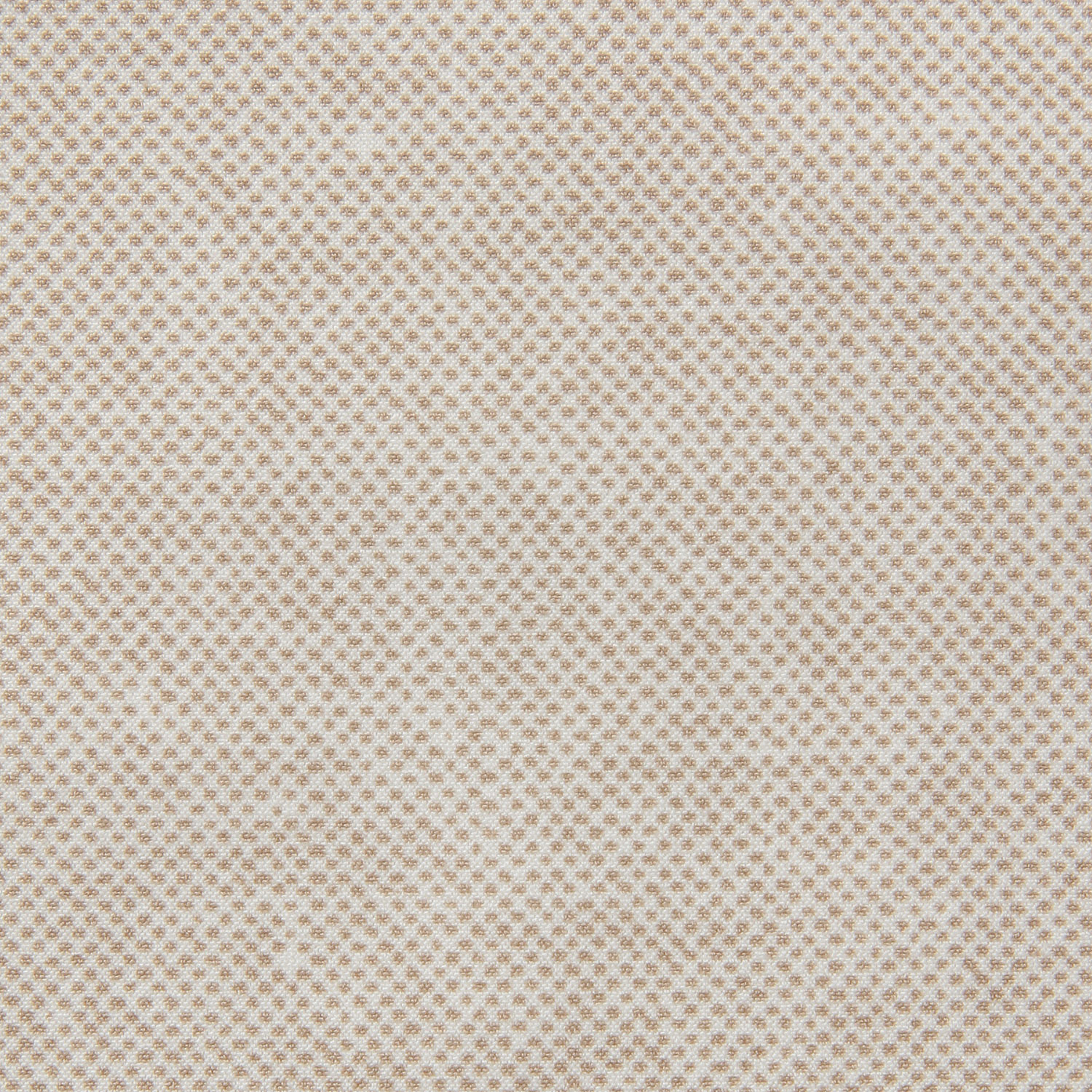 ドット柄ワイドパンツ - 画像11