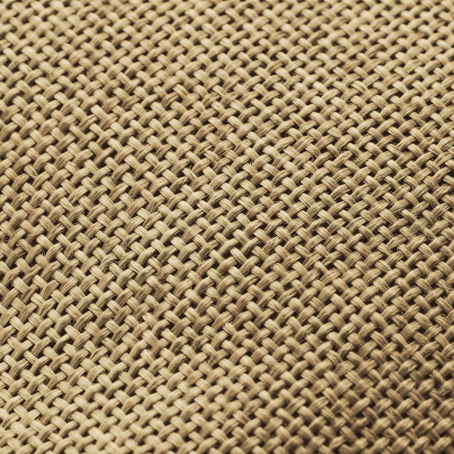 COGIT（コジット）Sun Block LAB つば広ハイクハット - 画像21