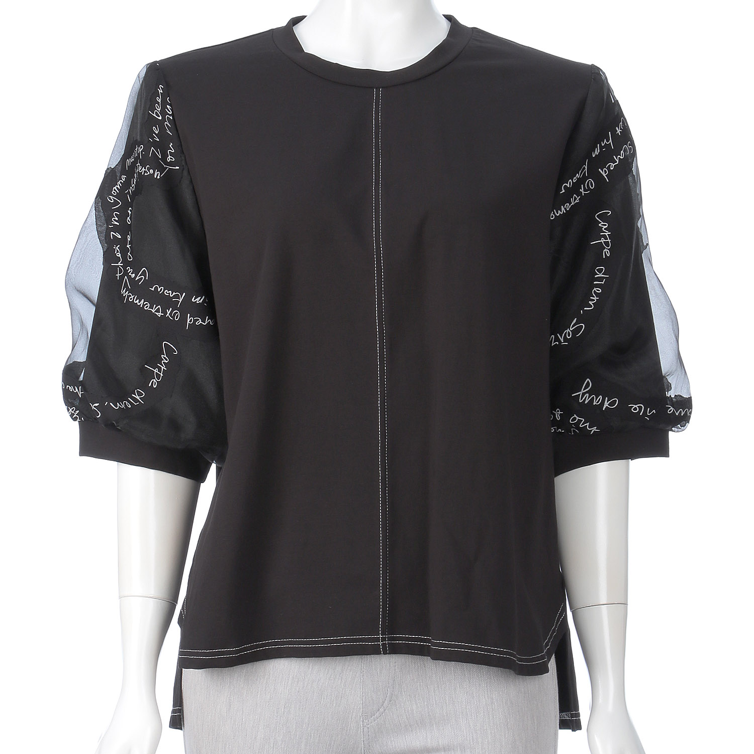 無地×英文字シアーチュニック - 画像2