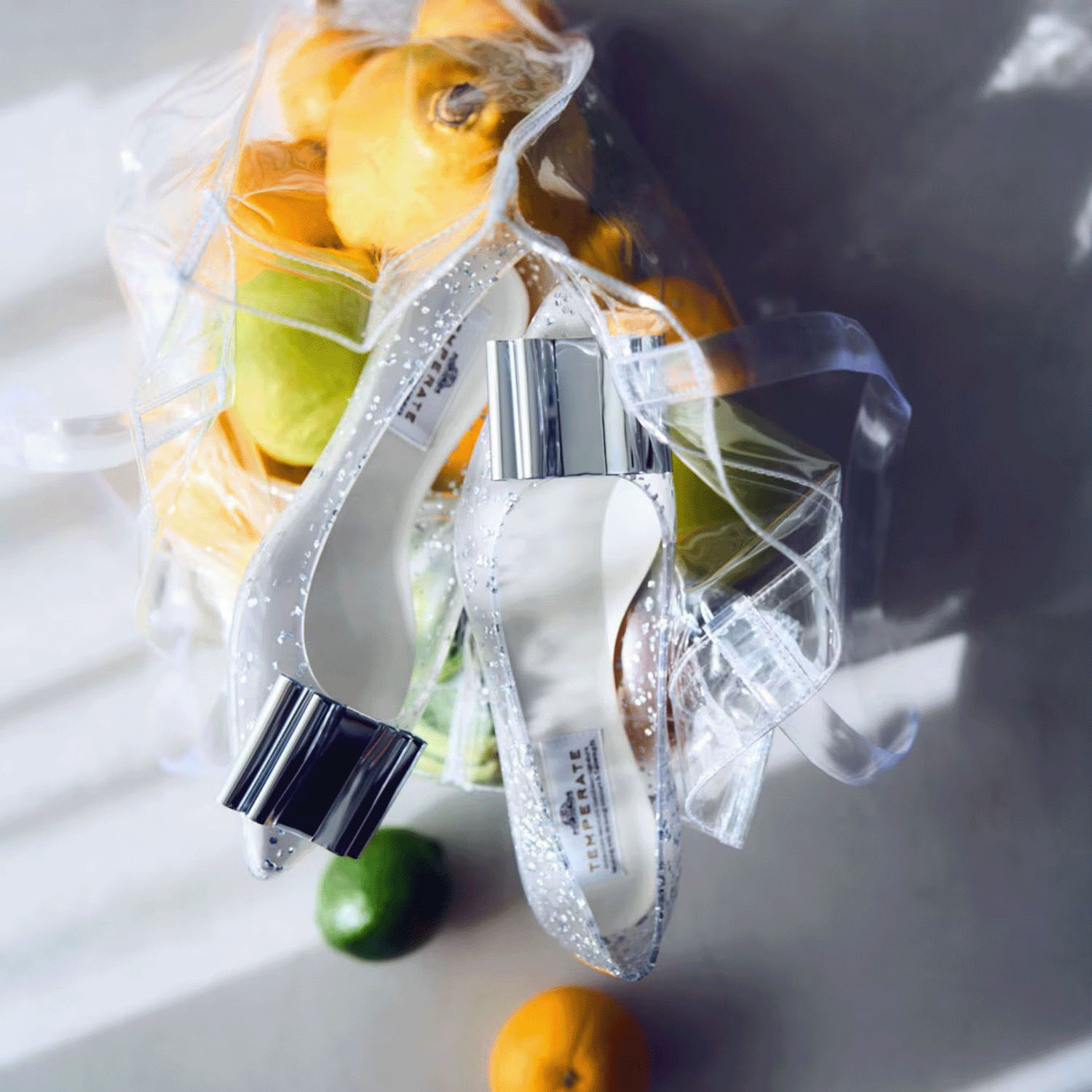 TEMPERATE SIMAシーマ - 画像3