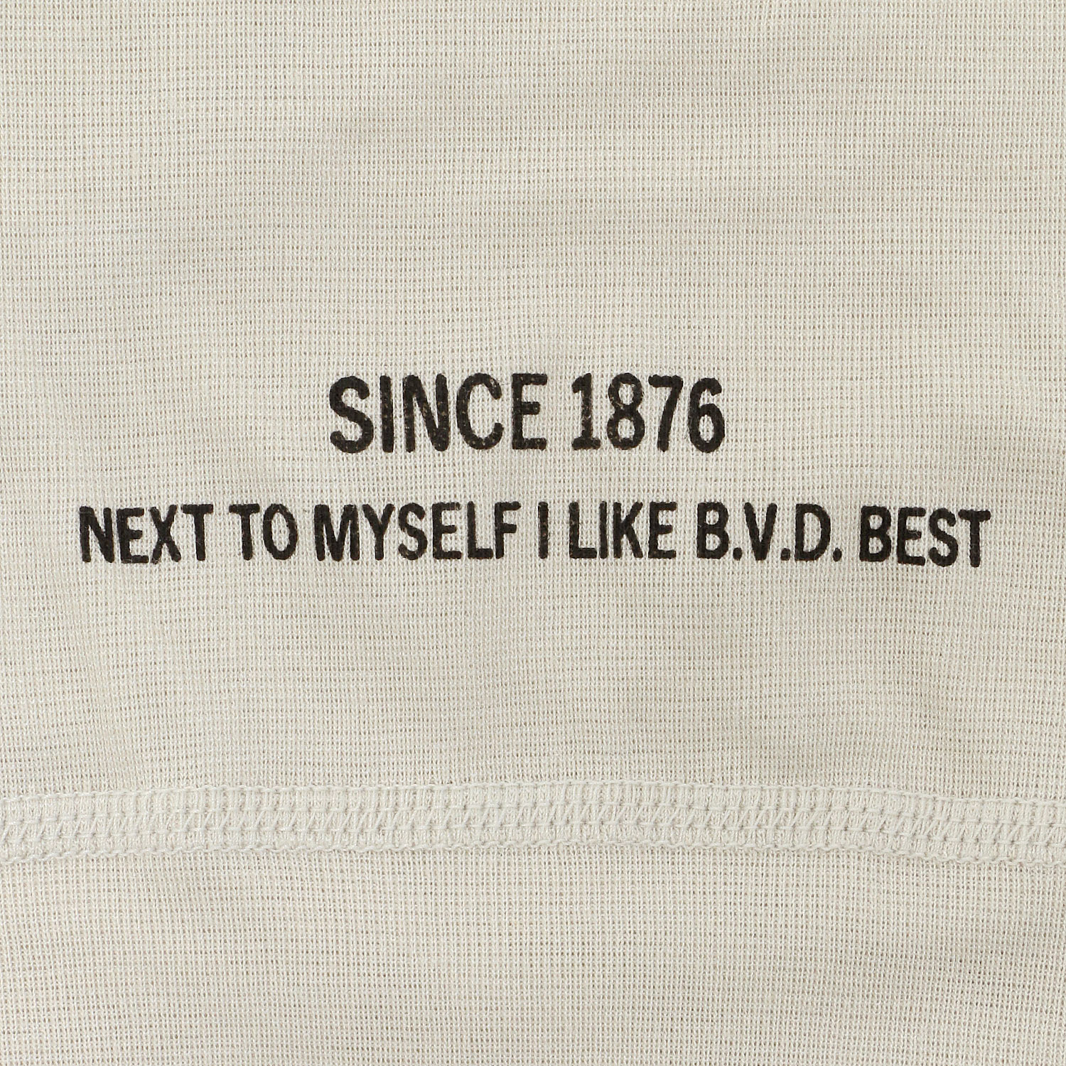 BVD GOLD 150周年記念 天スパンボクサーブリーフM・L - 画像3