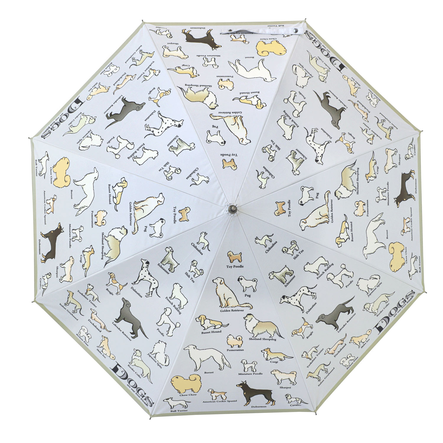傘 犬図鑑 - 画像2