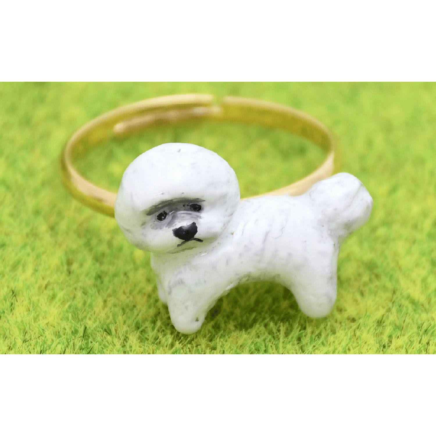 elioリング ビションフリーゼ - 画像1