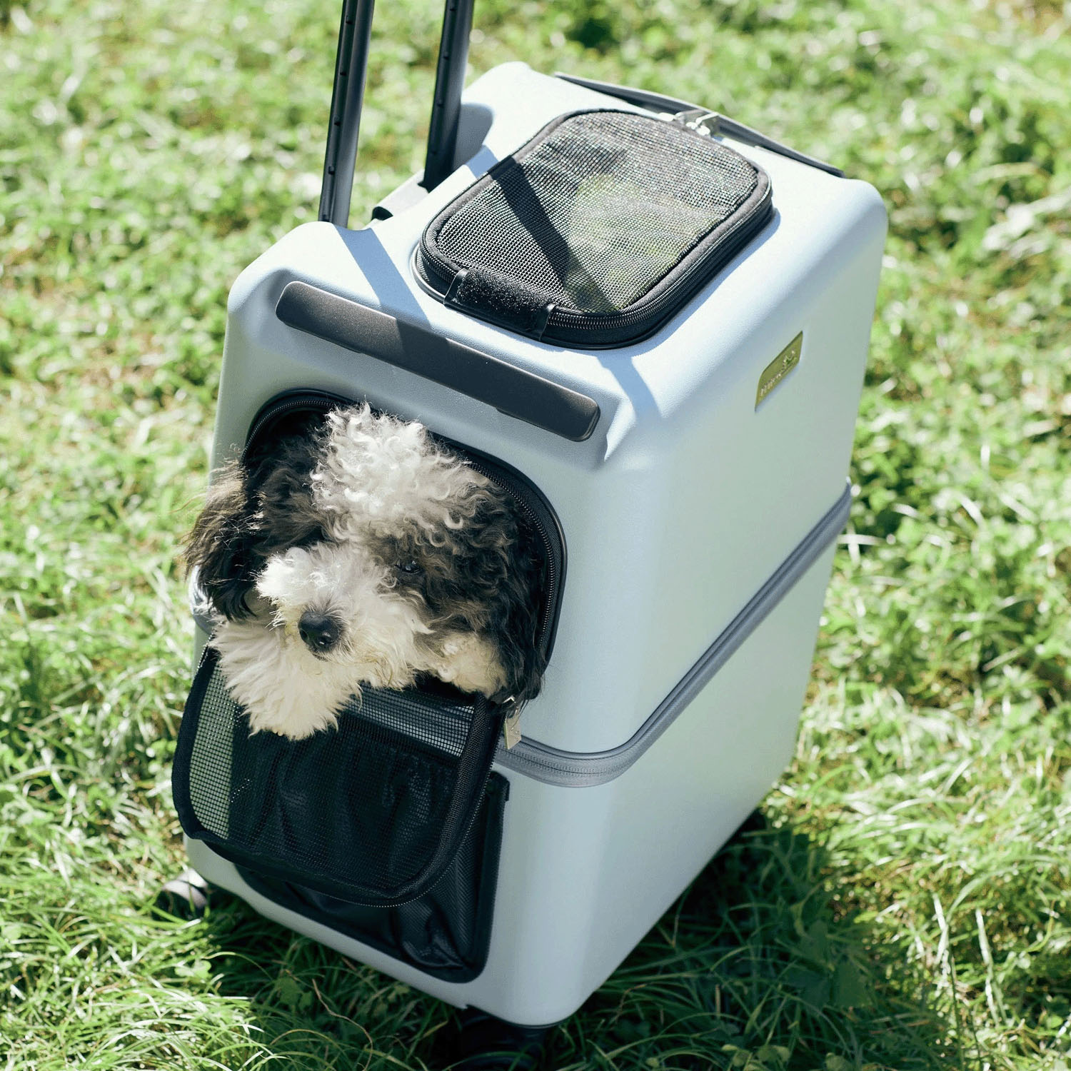 【取り寄せ商品】 PETico ペットキャリー Mサイズ - 画像13