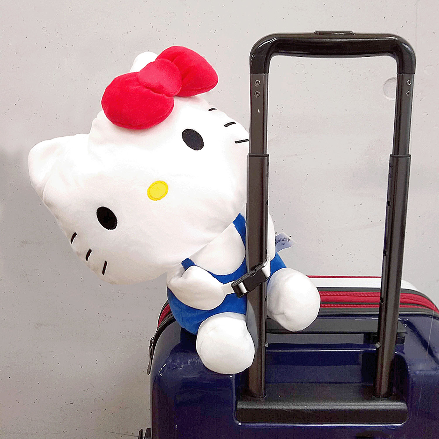 サンリオ つれてって！ピロー - 画像8