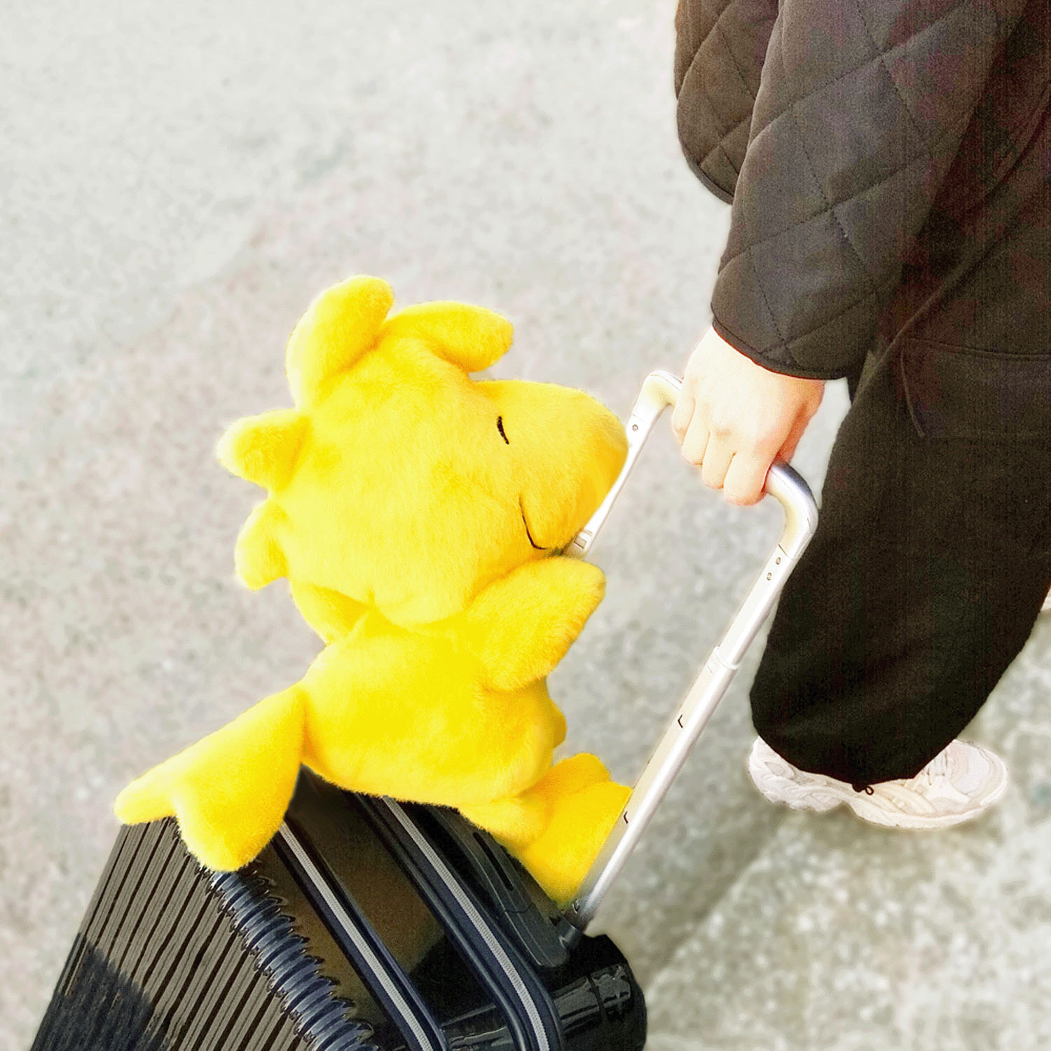 PEANUTS つれてって！ウッドストックピロー星空 - 画像7