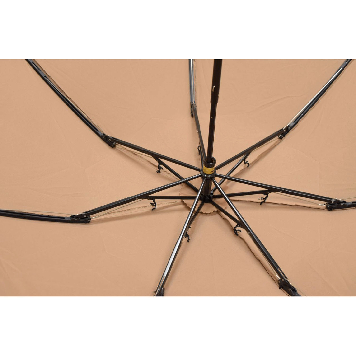 「肌子（Hadaconeko）」コラボ 猫イラスト折傘 - 画像5