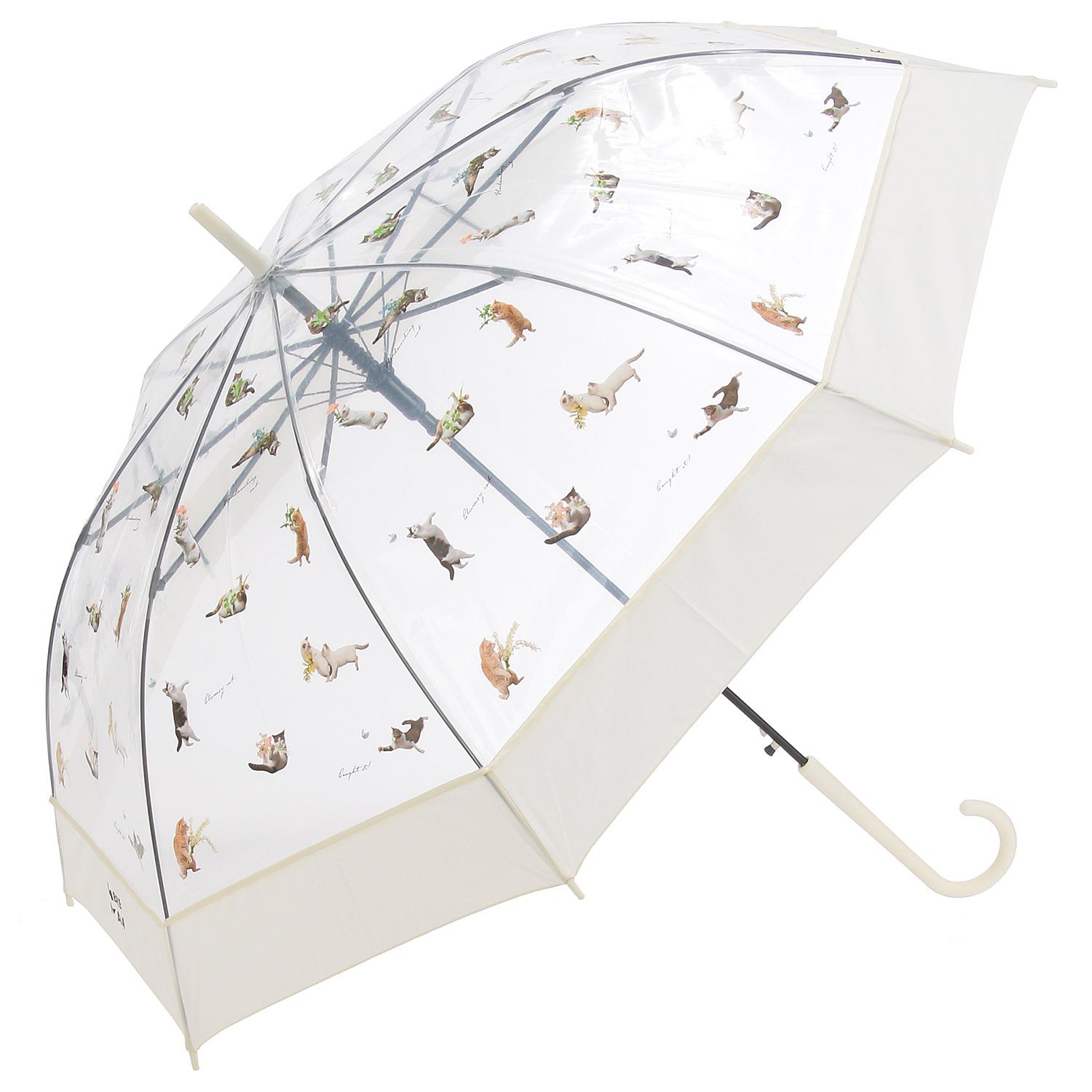 Wpc． 沖昌之さん×WPCアンブレにゃん - 画像1