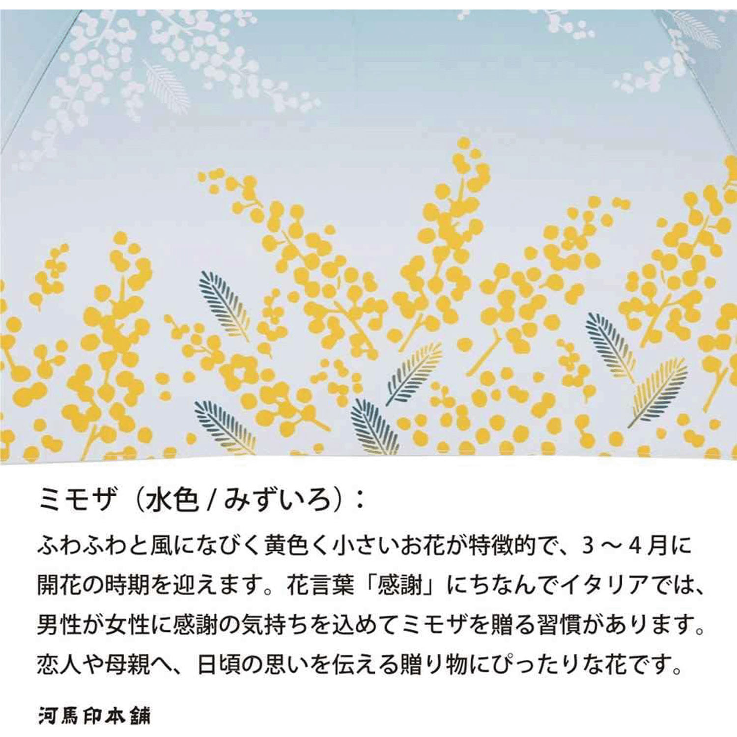 河馬印 晴雨兼用折 - 画像11