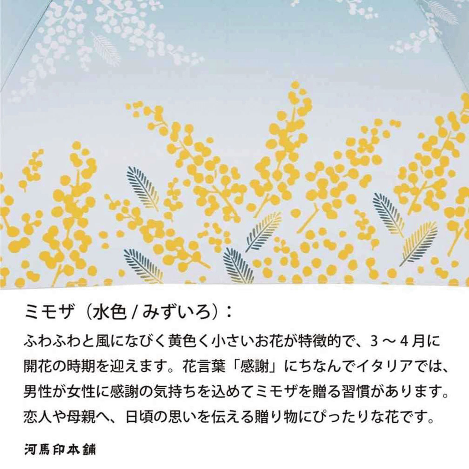 河馬印 晴雨兼用ミニ傘 - 画像11