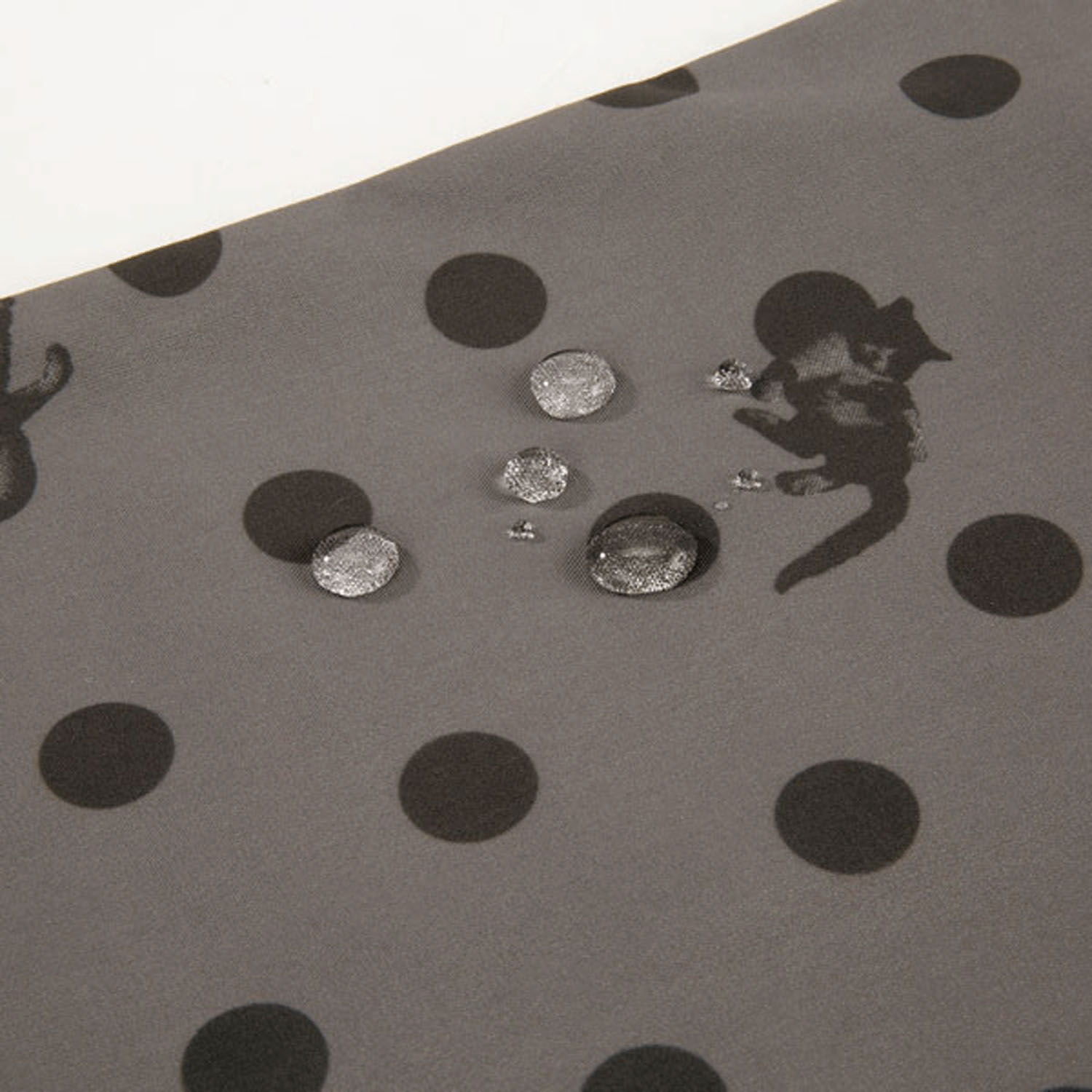 Wpc 沖さん×WPC 撥水トートバッグ - 画像3