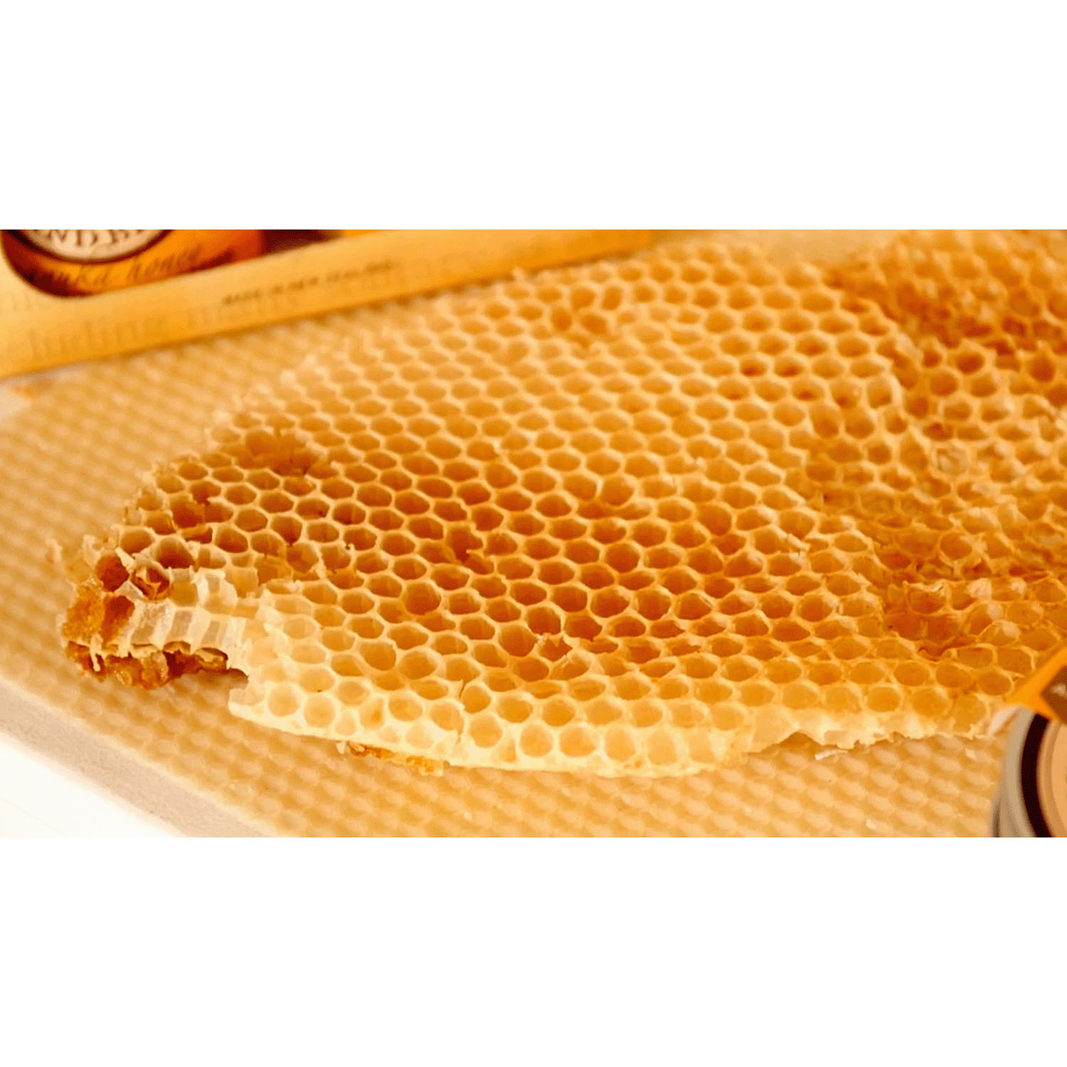 GBI－V リップスティック SPF30 - 画像3