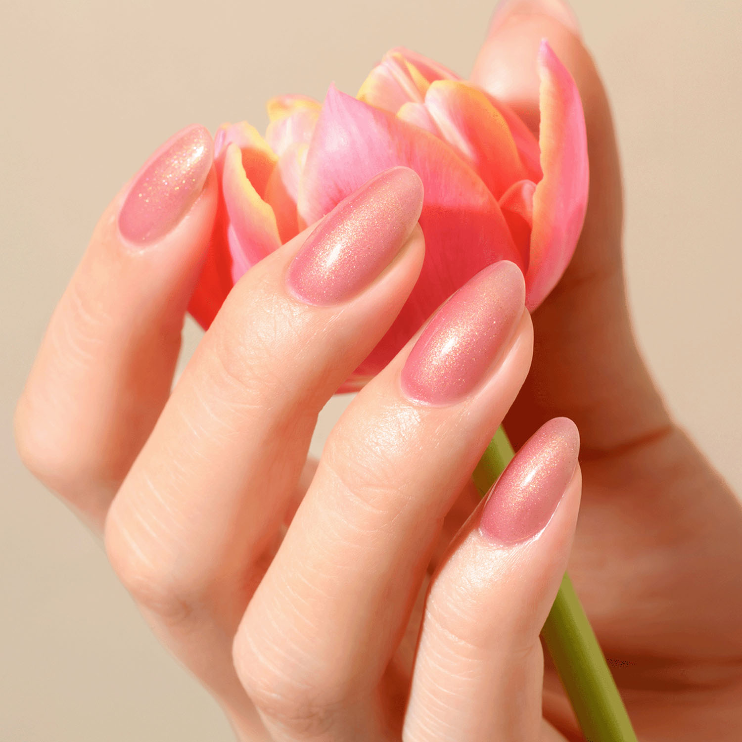 ジェルミーワン - 画像3