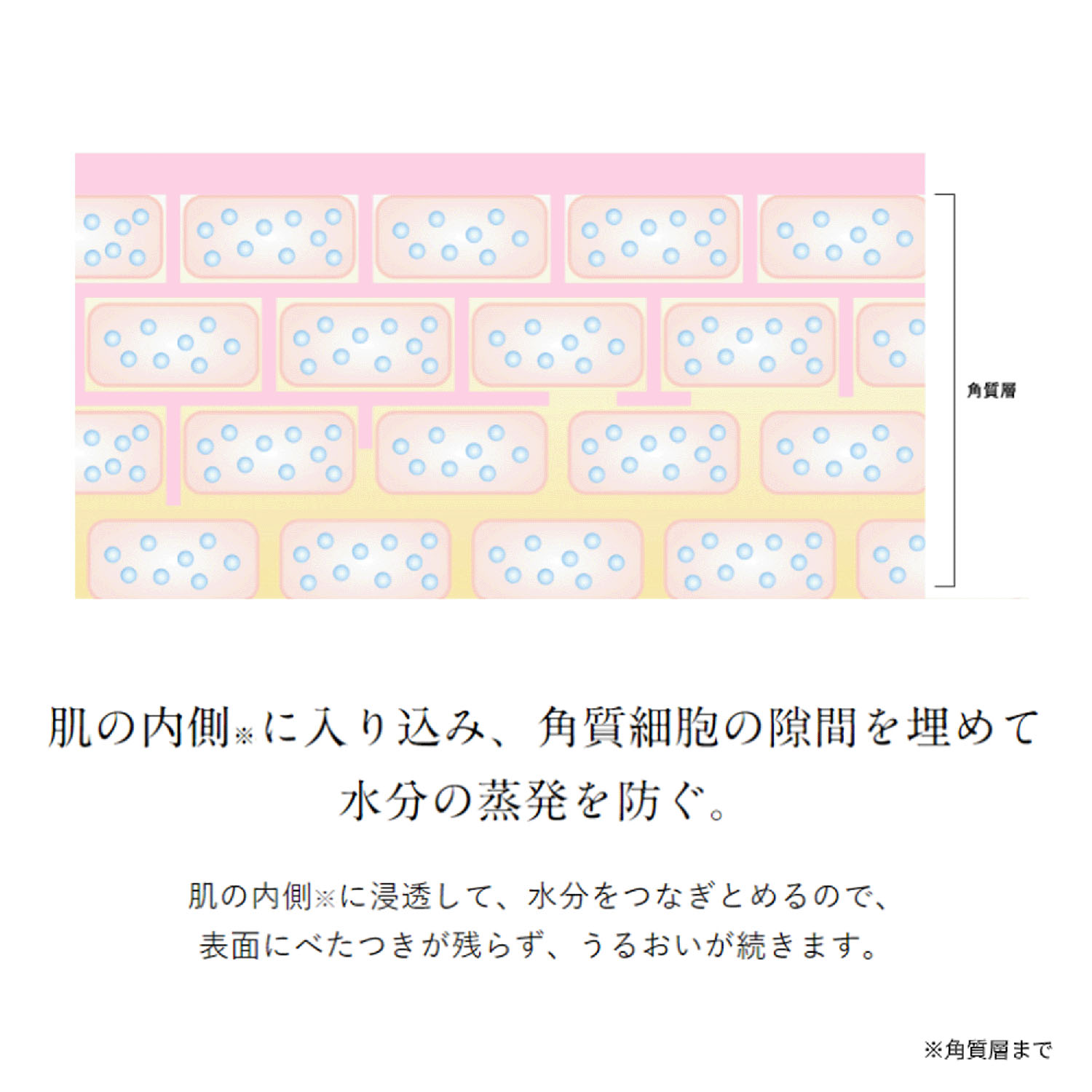 ナチュリエ ハトムギ浸透乳液 - 画像2