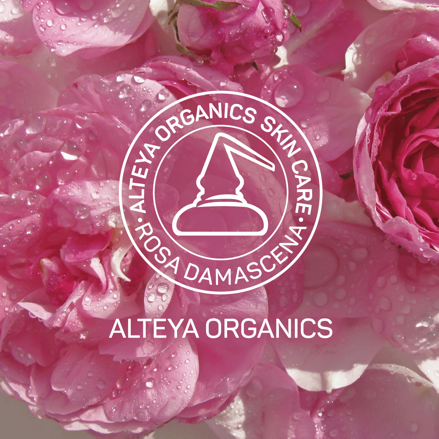 アルテヤオーガニック ブルガリアンローズ セラム〈美容液〉 - 画像8