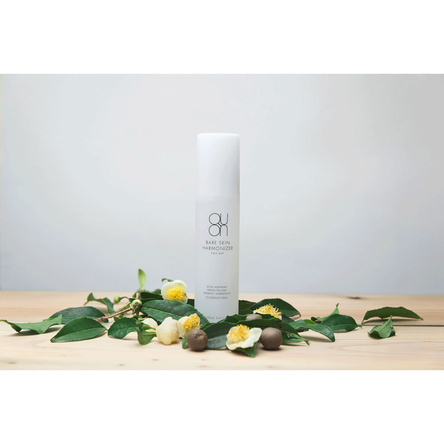 ベアスキン ハーモナイザーフェイスミスト - 画像1