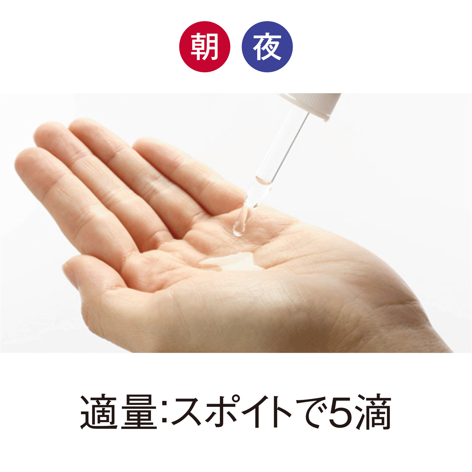 PSリキッド - 画像4