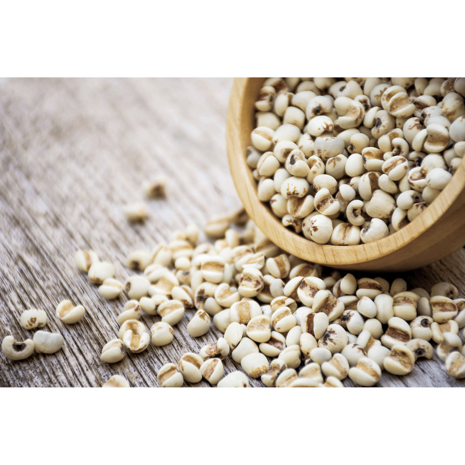 【予約可能品】イボンボン 貼るだけ杏仁ジェルパッチ - 画像7