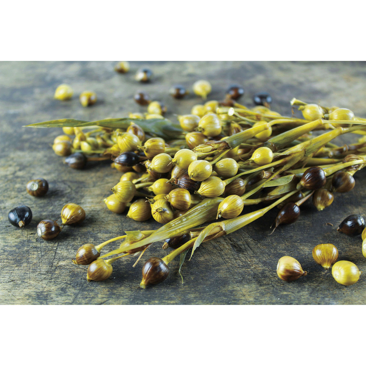 【予約可能品】イボンボン 貼るだけ杏仁ジェルパッチ - 画像8