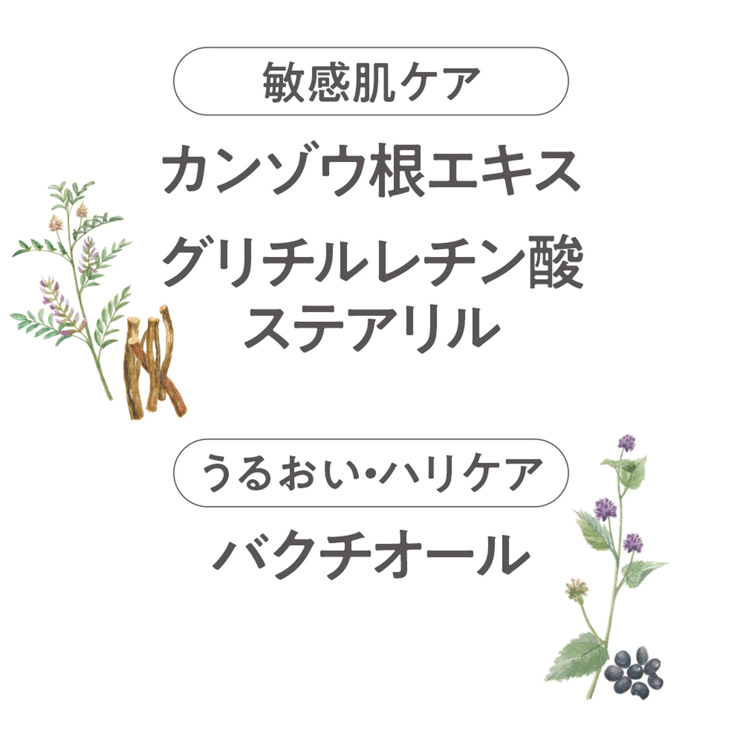 コモエース モイストオイル - 画像8