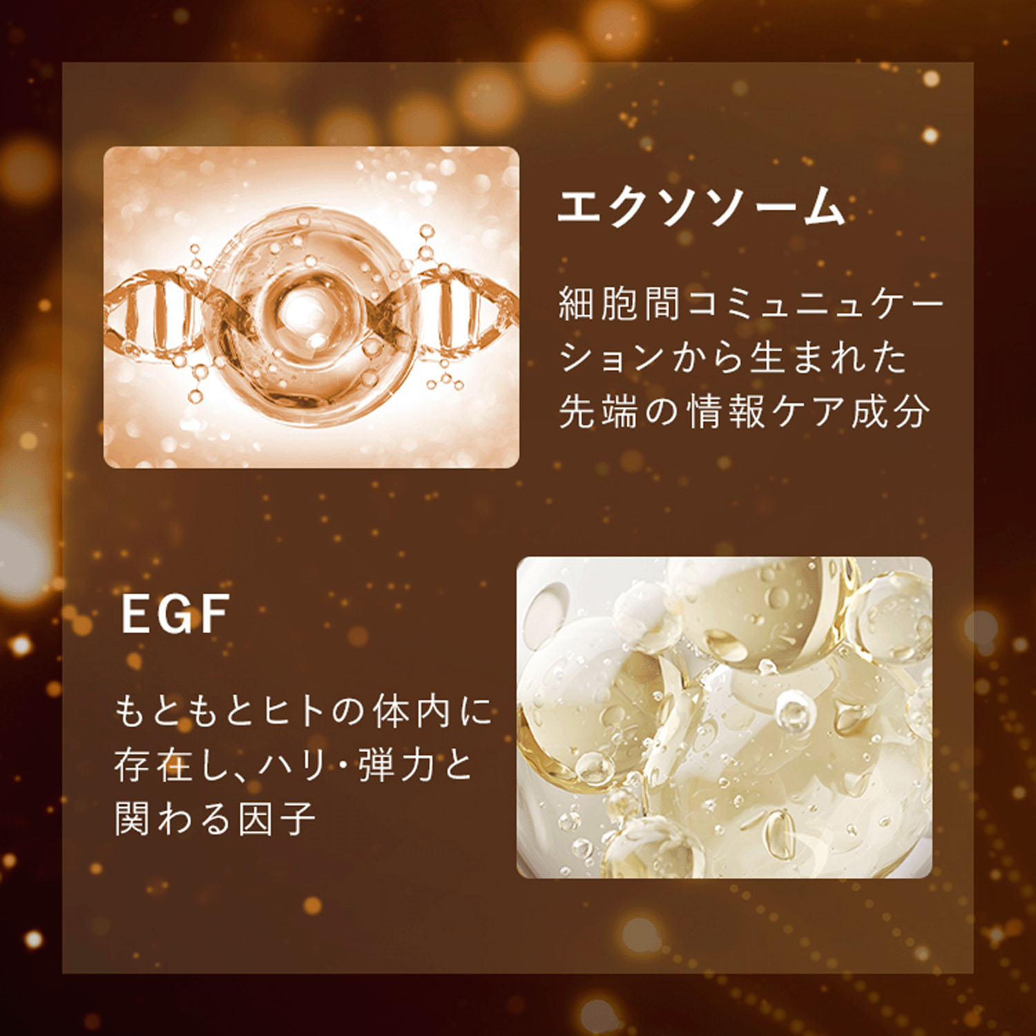 アンプルール リジュリューション - 画像2