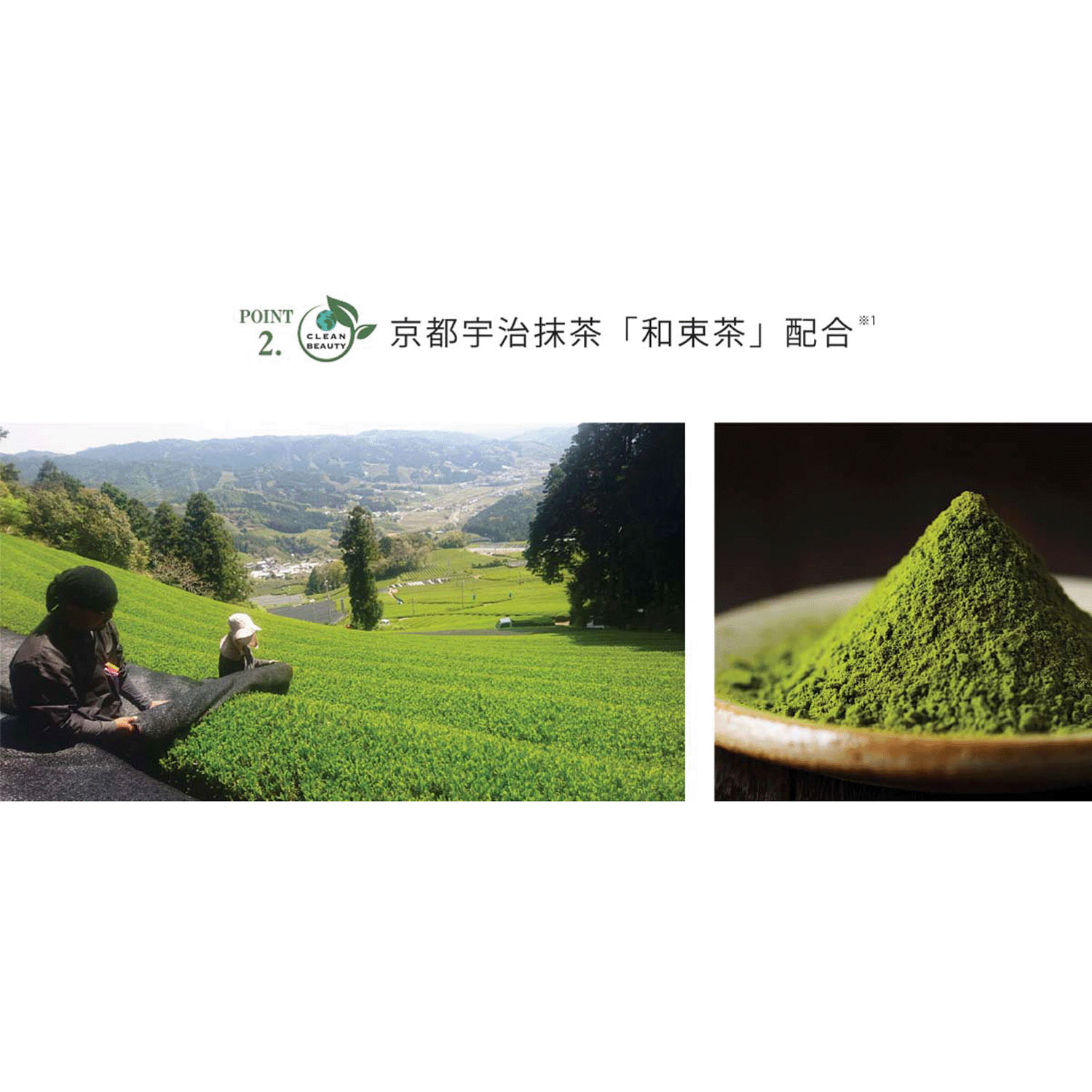 【新商品お試し割引2／26迄】KITAO MATCHAクレンジングクリーム - 画像5