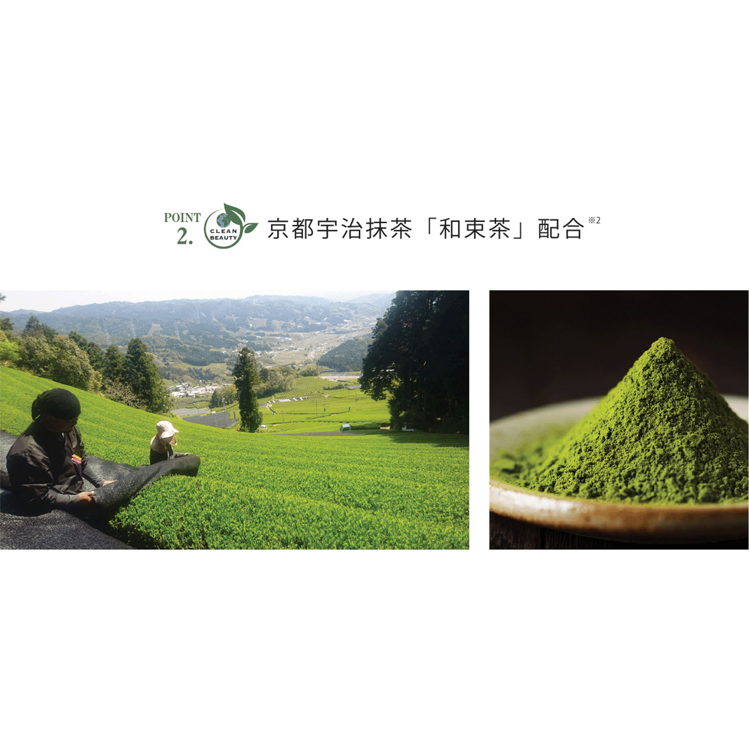 【新商品お試し割引2／26迄】KITAO MATCHAフェイシャルクリーム - 画像5