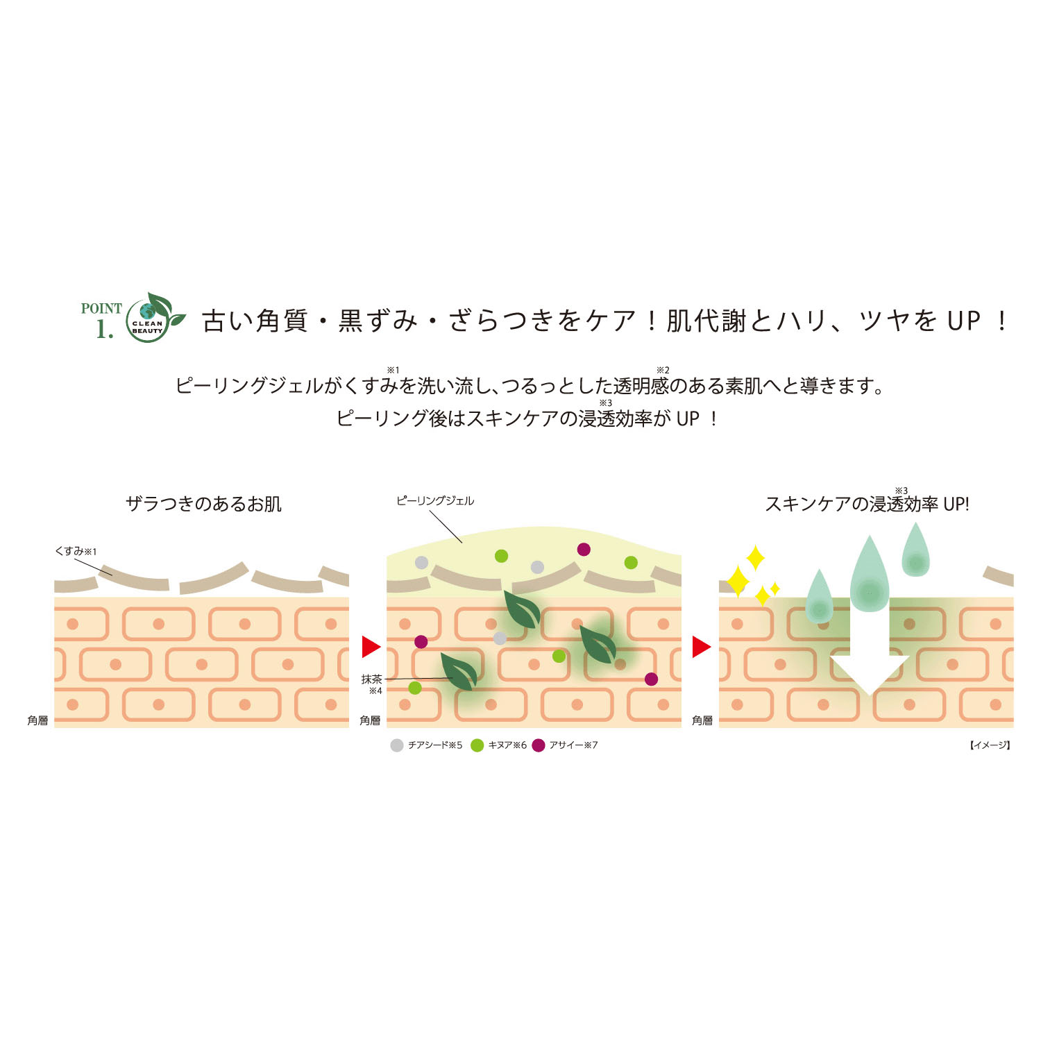 KITAO MATCHAピーリングジェル - 画像7